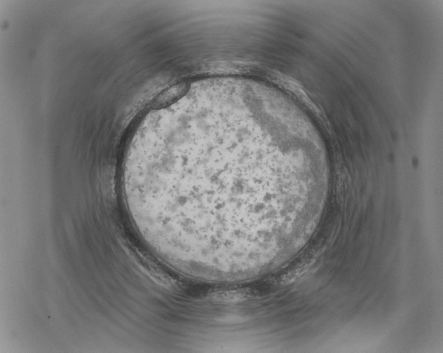 X0000078230299200611251221