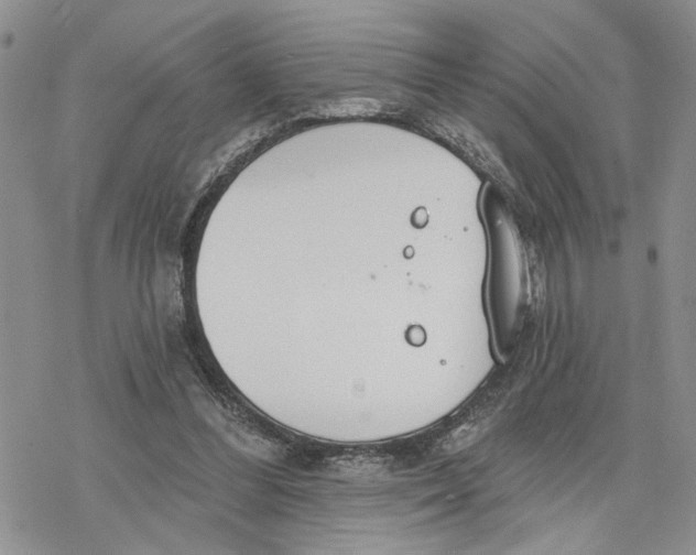 X0000078230300200611251221