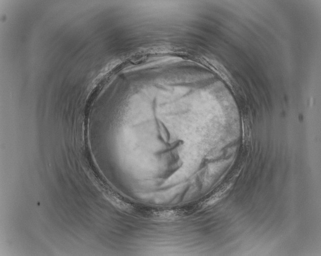 X0000078230301200611251221