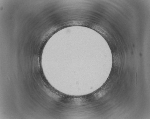 X0000078230302200611251221