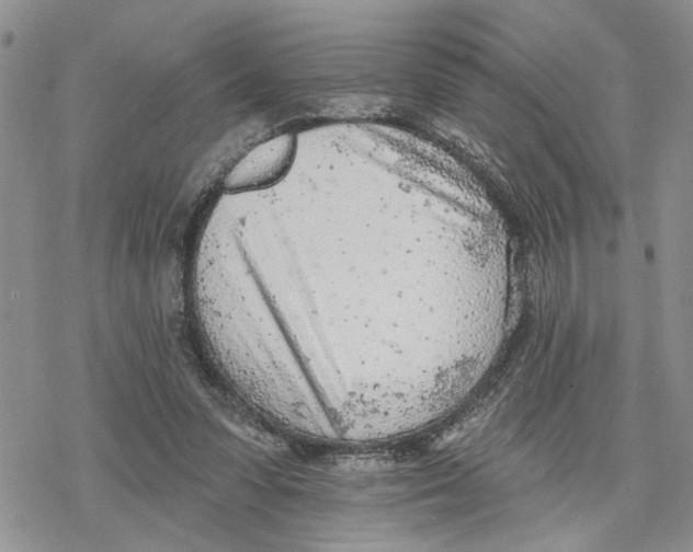 X0000078230303200611251221