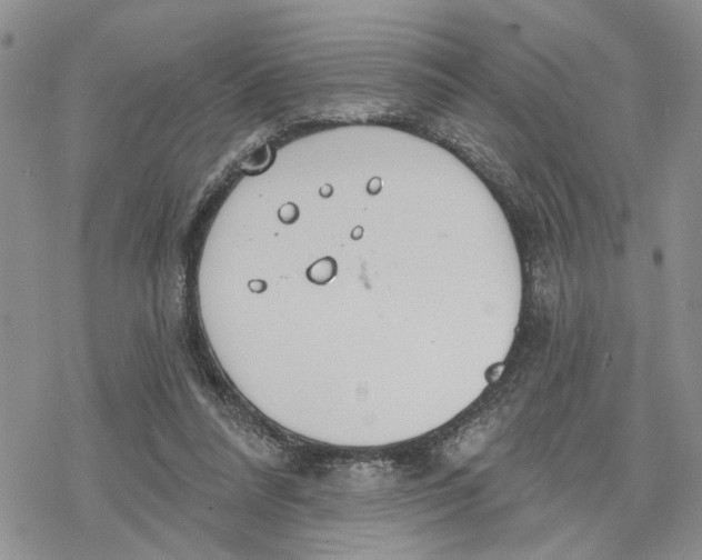 X0000078230304200611251221