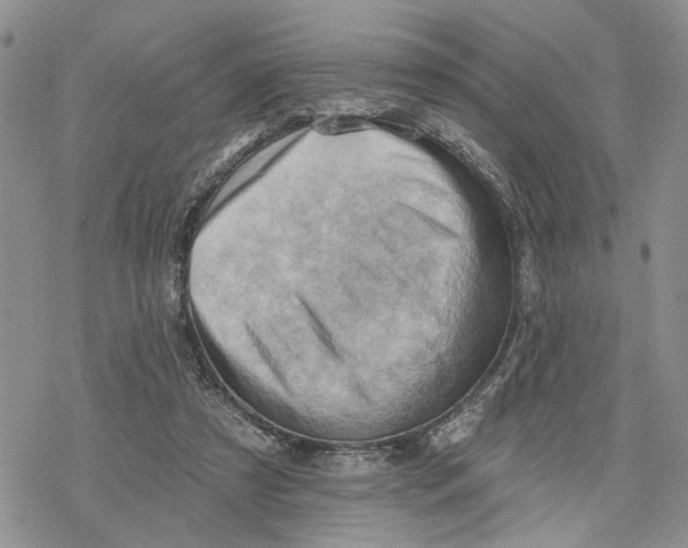 X0000078230305200611251221