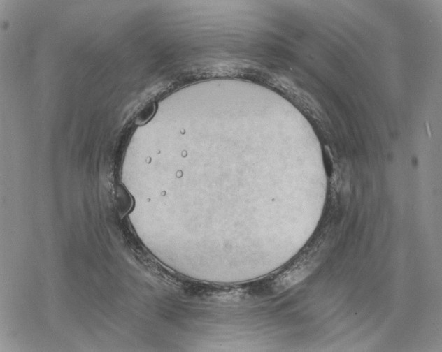 X0000078230306200611251221