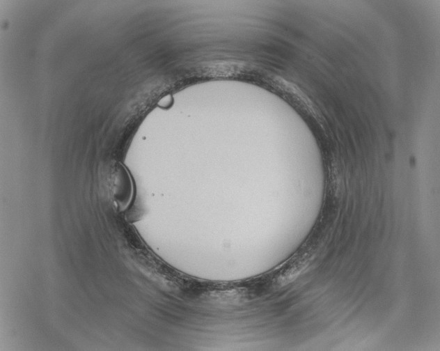 X0000078230307200611251220