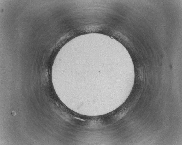 X0000078230308200611251220