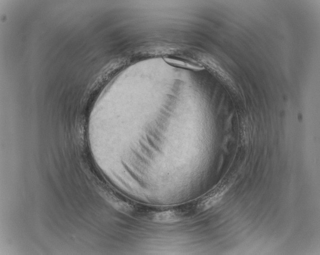 X0000078230309200611251220