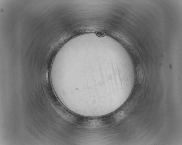 X0000078230310200611251220