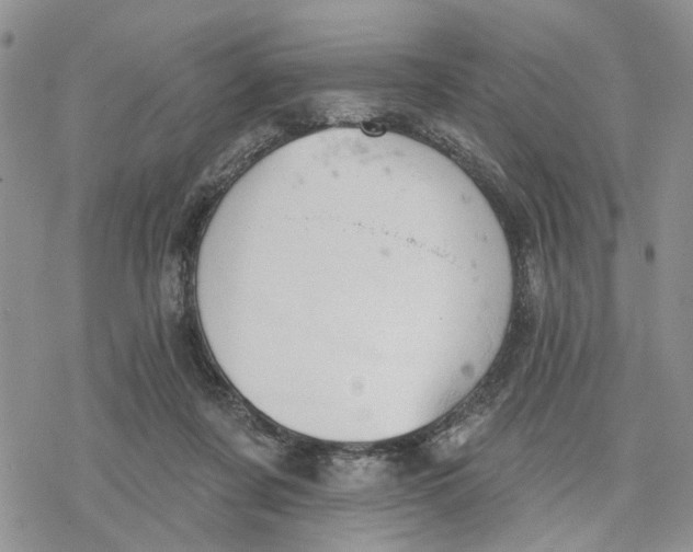 X0000078230311200611251220