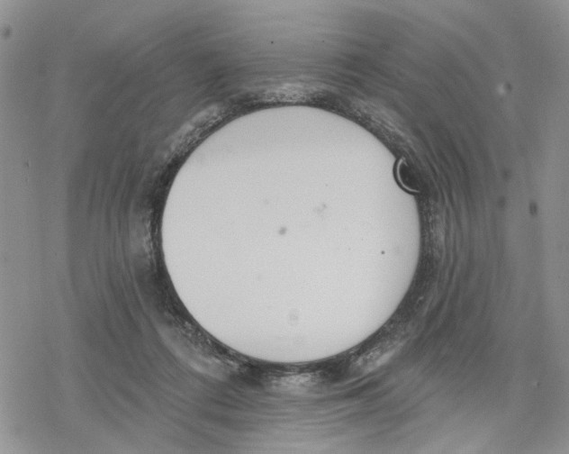 X0000078230312200611251220