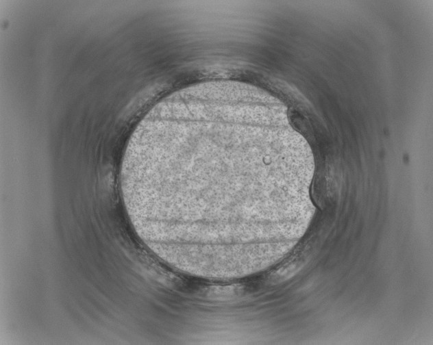 X0000078230314200611251220