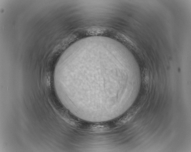 X0000078230315200611251220