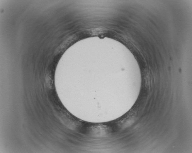 X0000078230316200611251220