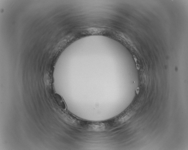 X0000078230317200611251220