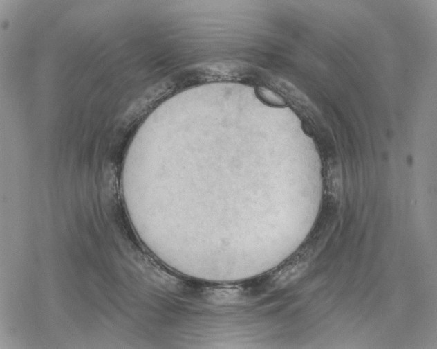 X0000078230318200611251220