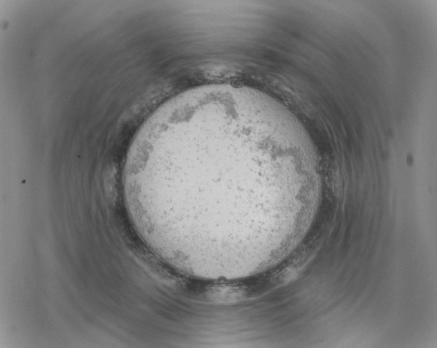 X0000078230319200611251220