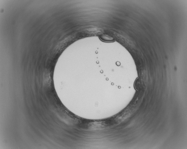 X0000078230320200611251220