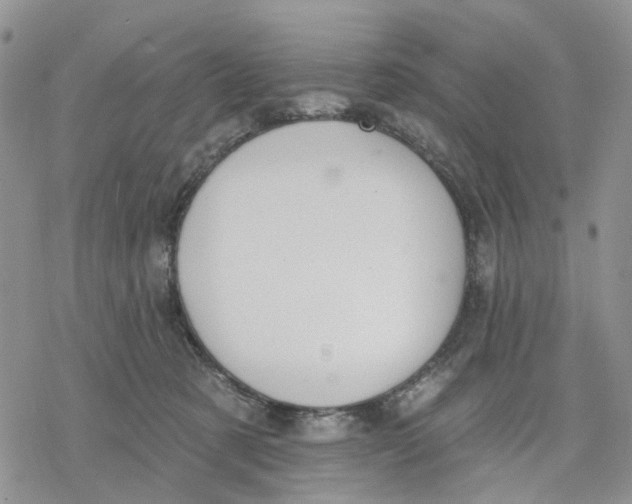 X0000078230321200611251220