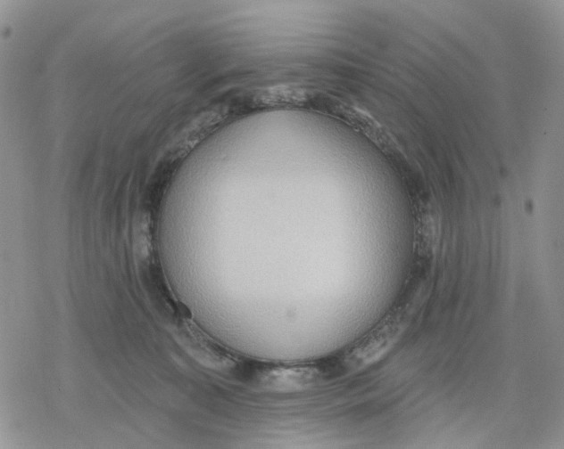 X0000078230323200611251220