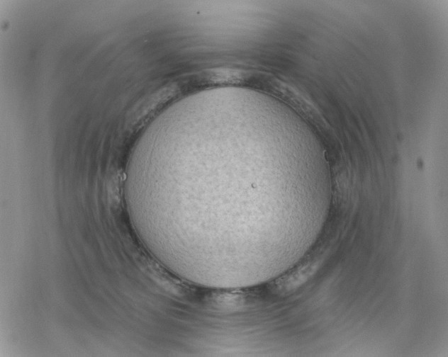 X0000078230325200611251220