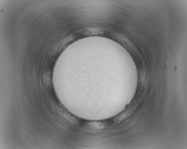 X0000078230326200611251220