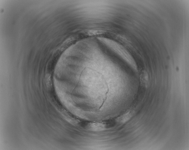 X0000078230327200611251220