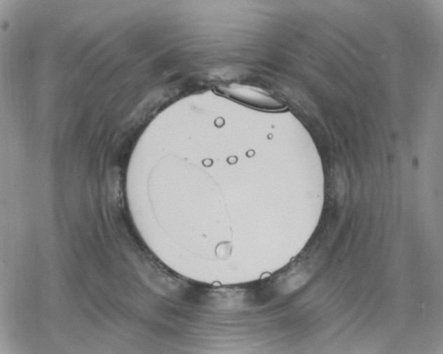 X0000078230328200611251220