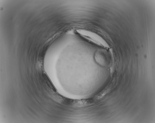 X0000078230329200611251220