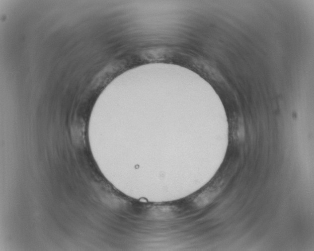 X0000078230332200611251220