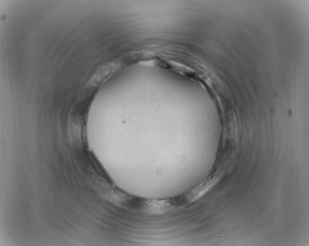 X0000078230333200611251220