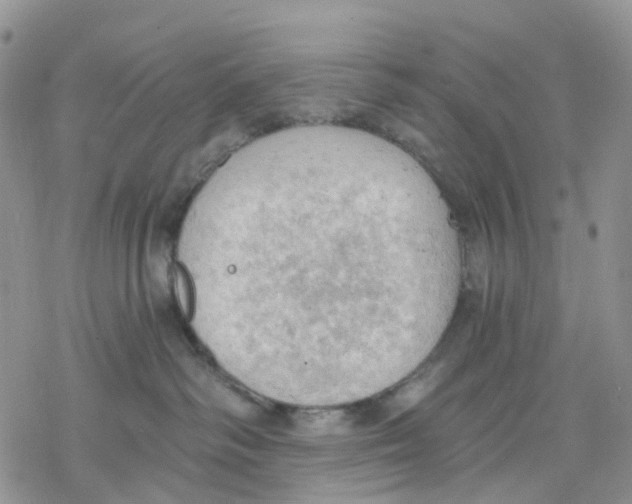 X0000078230334200611251220