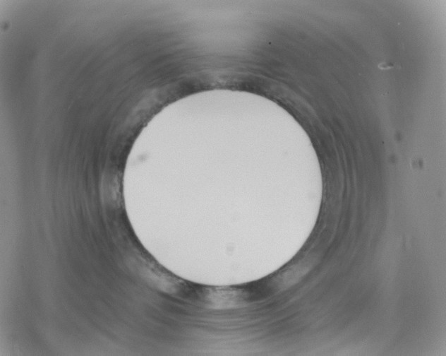 X0000078230336200611251220