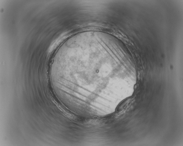 X0000078230341200611251219