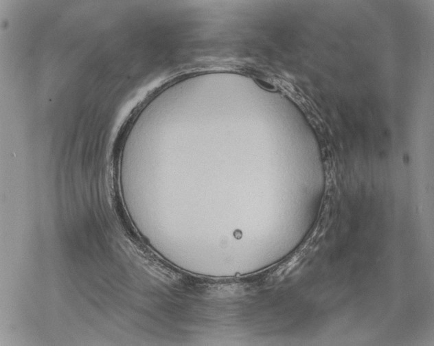 X0000078230342200611251219