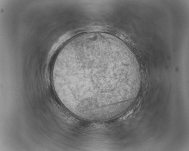 X0000078230343200611251219