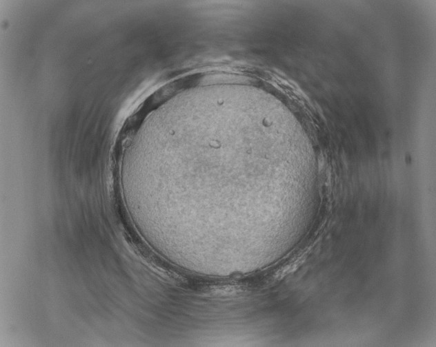 X0000078230344200611251219