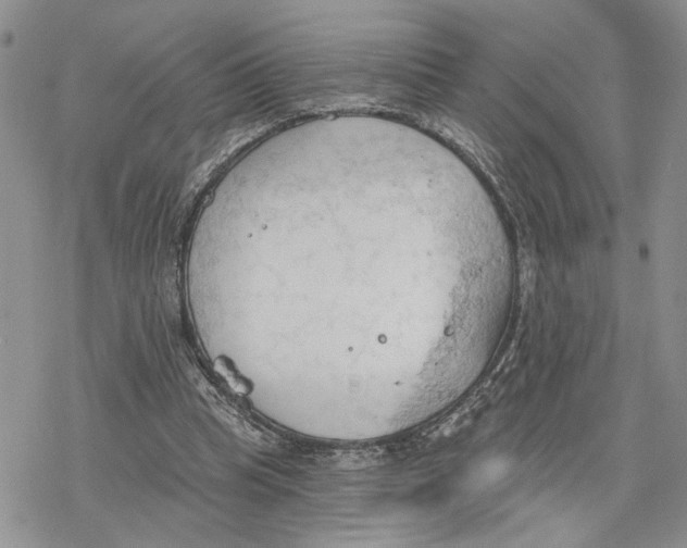 X0000078230345200611251219