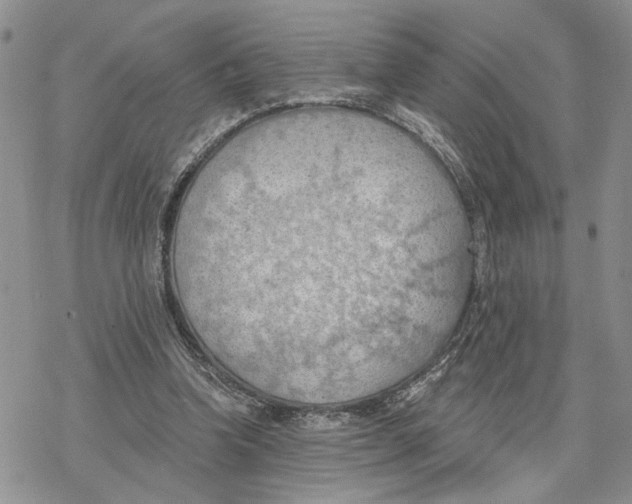 X0000078230346200611251219