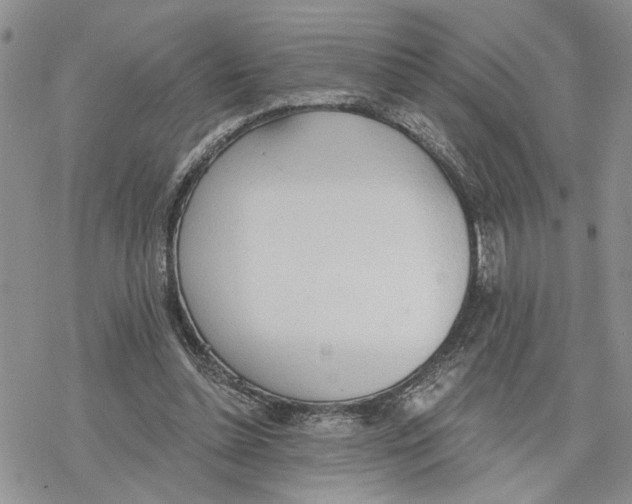 X0000078230348200611251219