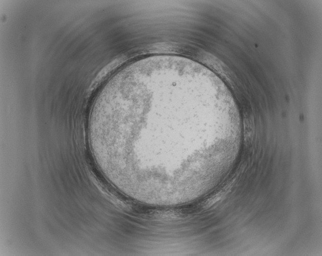 X0000078230349200611251219