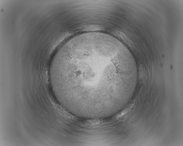 X0000078230351200611251219