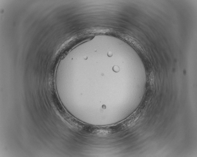 X0000078230352200611251219