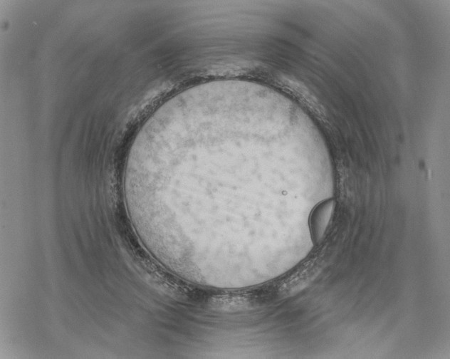 X0000078230354200611251220