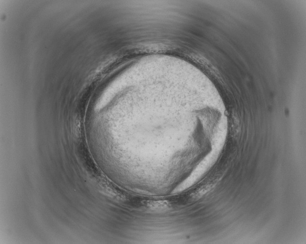 X0000078230355200611251220