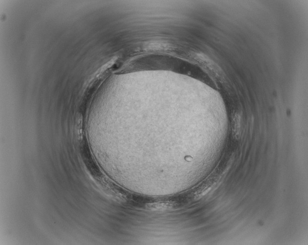 X0000078230356200611251220