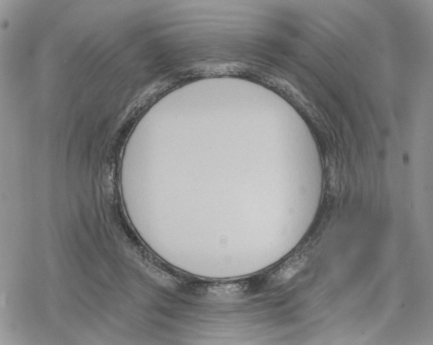 X0000078230357200611251220