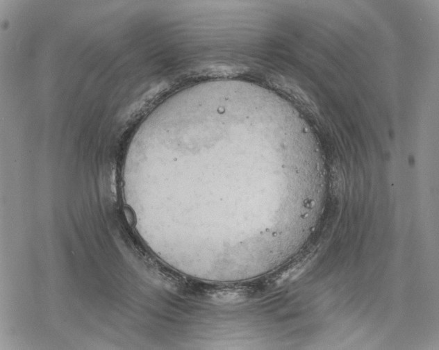 X0000078230358200611251220