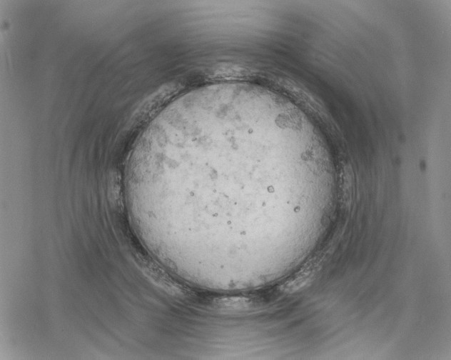 X0000078230361200611251220