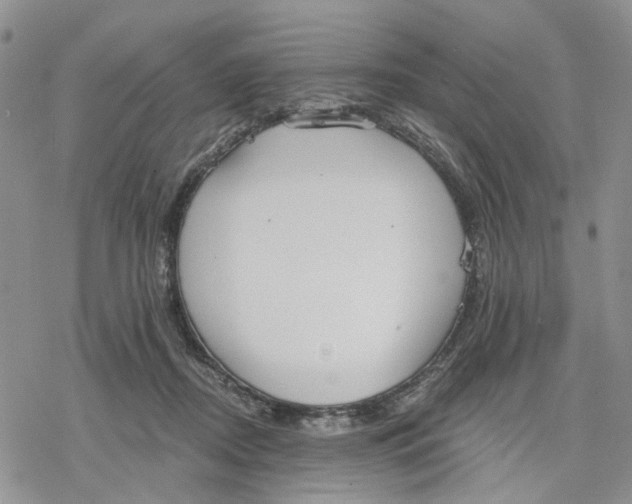 X0000078230362200611251220