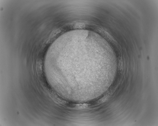 X0000078230363200611251220